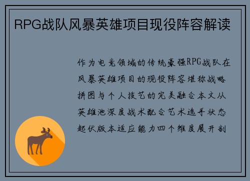 RPG战队风暴英雄项目现役阵容解读